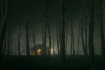 A cabin with lights turned on in a forest at night.